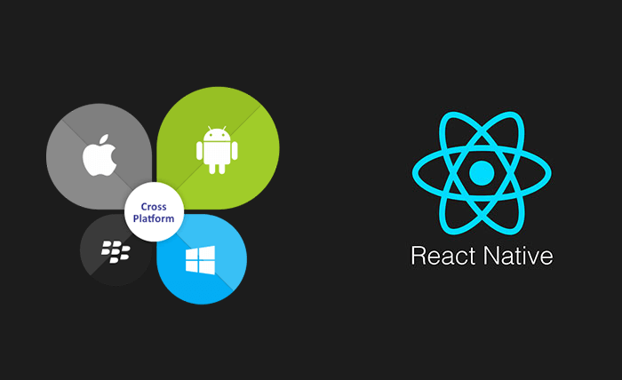 React Native mobile development 